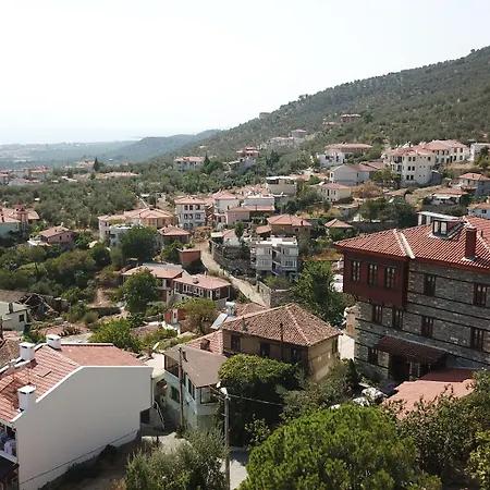 阿廷塞斯麦里克纳克酒店 酒店 Altınoluk