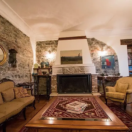 酒店 阿廷塞斯麦里克纳克酒店 3*