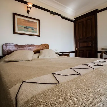 阿廷塞斯麦里克纳克酒店 酒店