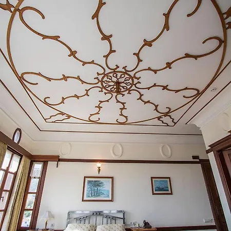 阿廷塞斯麦里克纳克酒店 酒店 Altınoluk