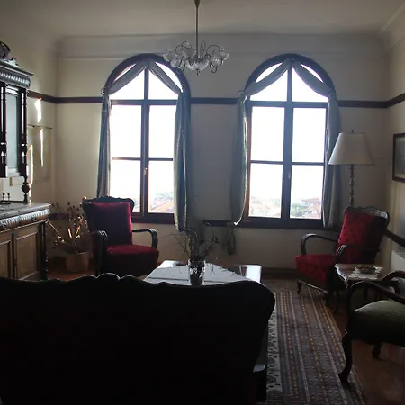 阿廷塞斯麦里克纳克酒店 Altınoluk