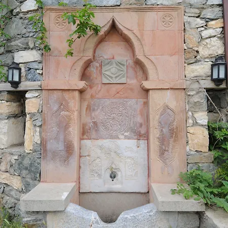 阿廷塞斯麦里克纳克酒店 Altınoluk