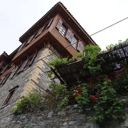 阿廷塞斯麦里克纳克酒店 Altınoluk