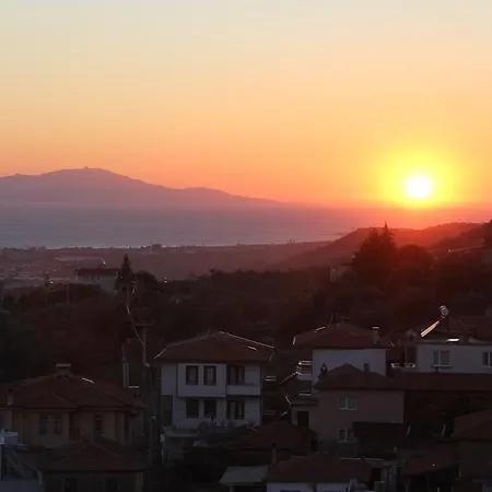 阿廷塞斯麦里克纳克酒店 3* Altınoluk