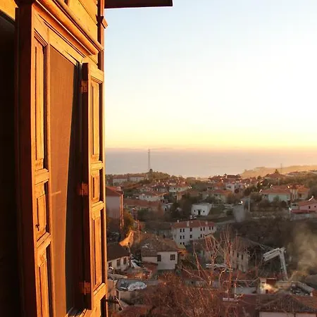 阿廷塞斯麦里克纳克酒店 Altınoluk