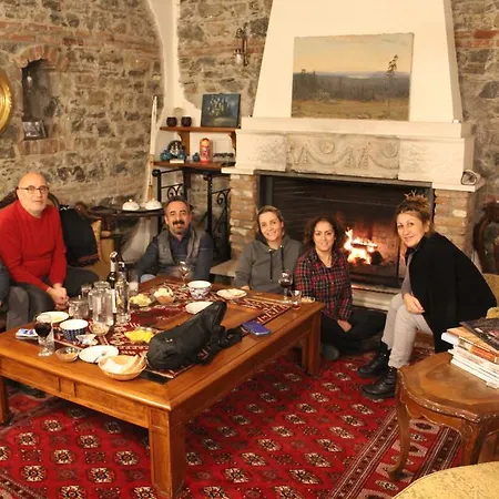 阿廷塞斯麦里克纳克酒店 3* Altınoluk