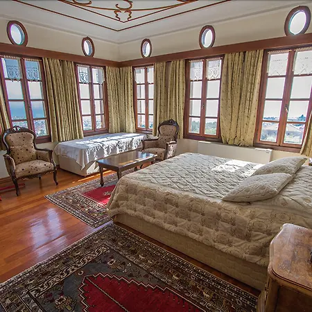 호텔 알틴 체스멜리 코낙 Altınoluk