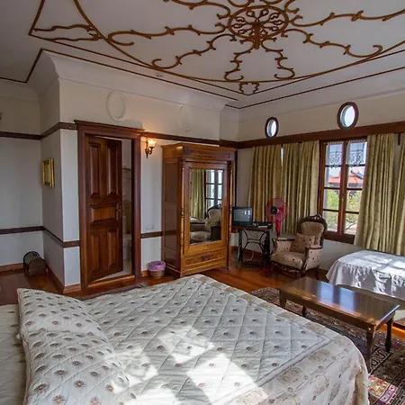 알틴 체스멜리 코낙 호텔