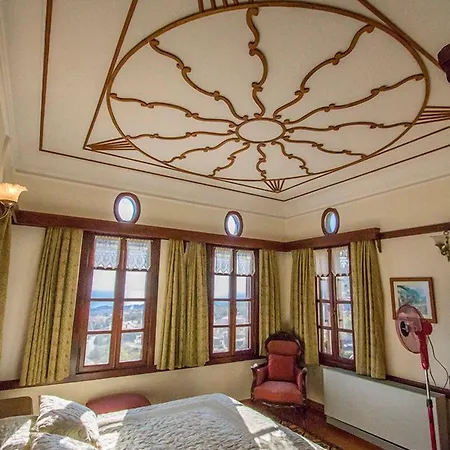 호텔 알틴 체스멜리 코낙 Altınoluk