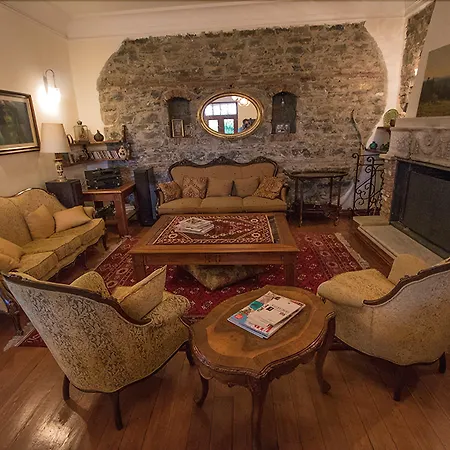 알틴 체스멜리 코낙