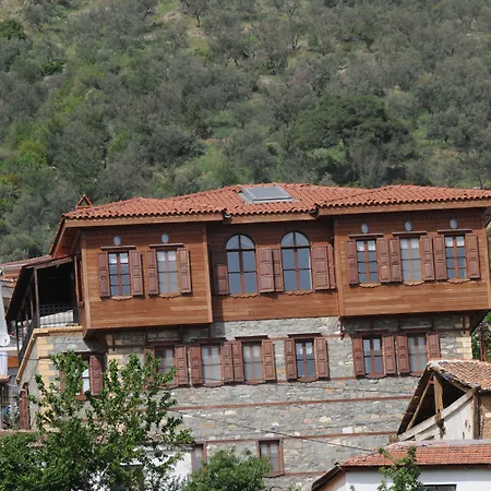 알틴 체스멜리 코낙