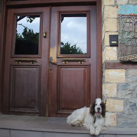 호텔 알틴 체스멜리 코낙