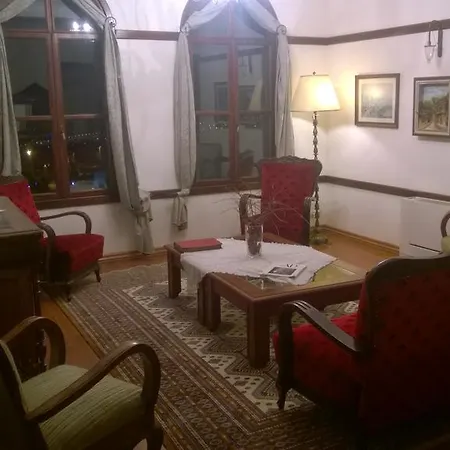 Hotel Altin Cesmeli