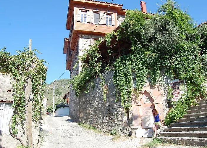 Hotel Altin Cesmeli 3*